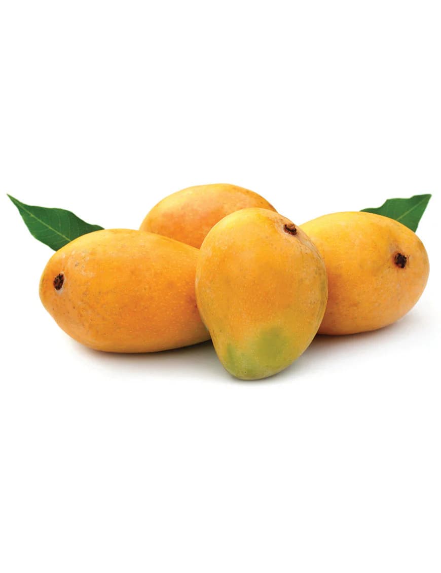 TJC mango
