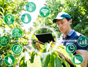 Technological Innovation in Modern Plantations