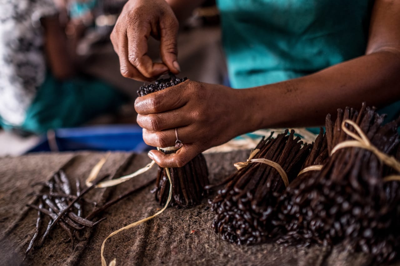 The Faces Behind the Plantation: Meet the Team Driving OxiAura’s Success